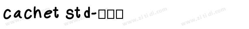 cachet std字体转换